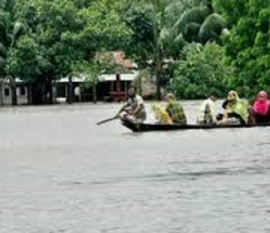 বন্যা উত্তর কৃষি পুনর্বাসন এবং বন্যার ভালোমন্দ দিক